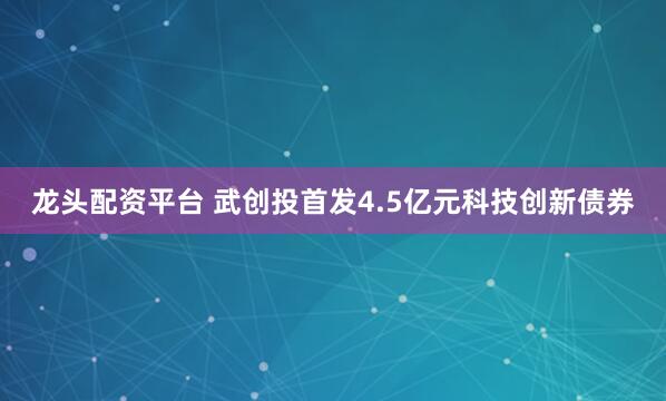 龙头配资平台 武创投首发4.5亿元科技创新债券