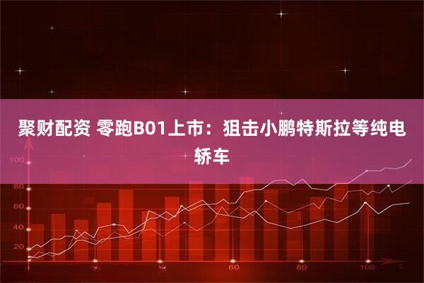 聚财配资 零跑B01上市：狙击小鹏特斯拉等纯电轿车