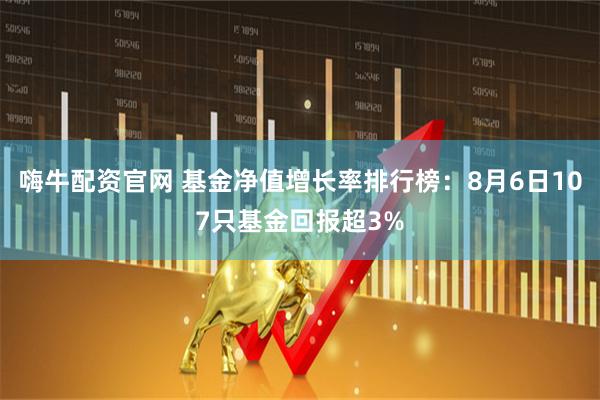 嗨牛配资官网 基金净值增长率排行榜：8月6日107只基金回报超3%